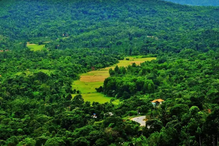 Discover the Serene Beauty of Coorg: A Perfect Weekend Getaway
